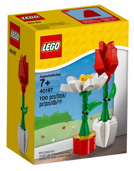 Flower Display #40187 LEGO Holiday