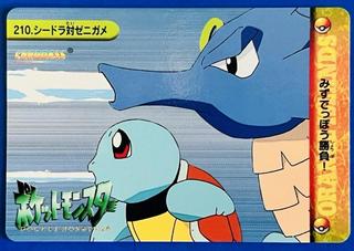 Squirtle & Seadra