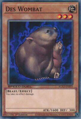 Des Wombat SGX2-ENE03 YuGiOh Speed Duel GX: Midterm Paradox