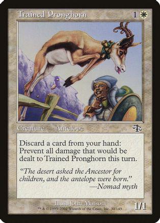 Trained Pronghorn Magic Judgment