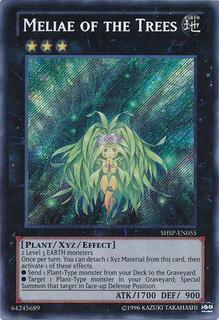 Meliae of the Trees SHSP-EN055