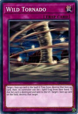 Wild Tornado SS01-ENC17 YuGiOh Speed Duel Starter Decks: Destiny Masters