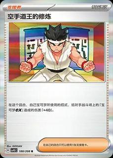 Black Belt's Training