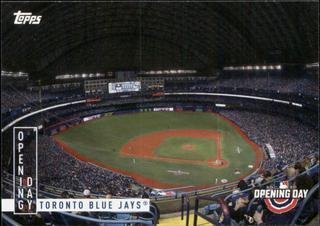 Toronto Blue Jays
