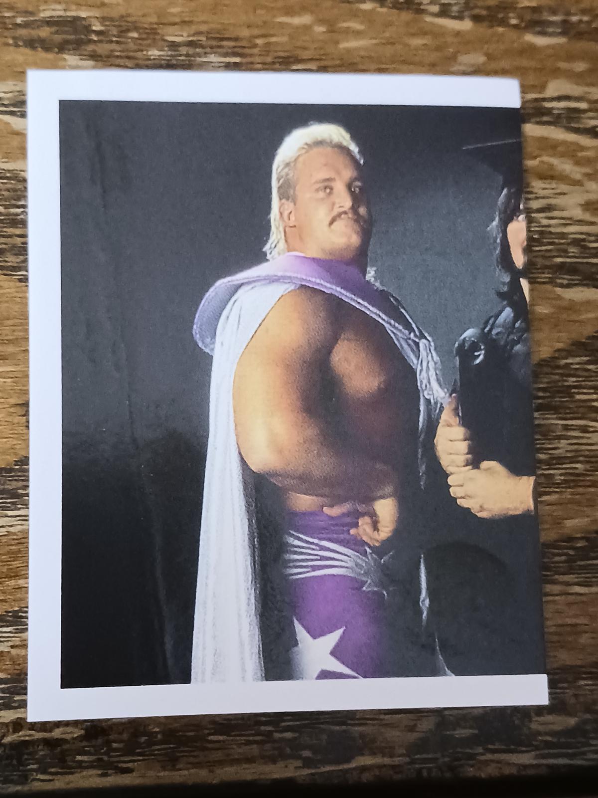 Beverly Bros w/ The Genius #118 Wrestling Cards 1992 Merlin WWF Stickers