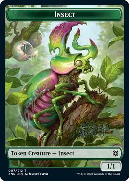 Insect