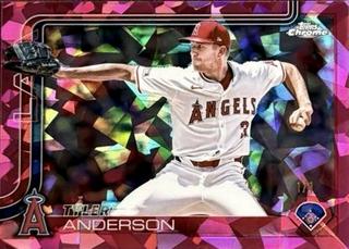 Tyler Anderson