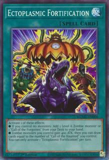 Ectoplasmic Fortification MZMU-EN008