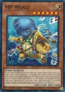 VIP Whale BLZD-EN084