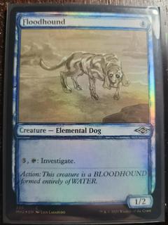 Floodhound