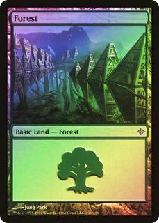 Forest