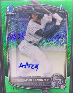 Ashly Andujar