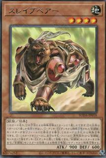 Test Bear SUDA-JP018