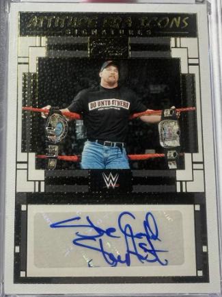 Stone Cold Steve Austin [Gold] #AE-SCA