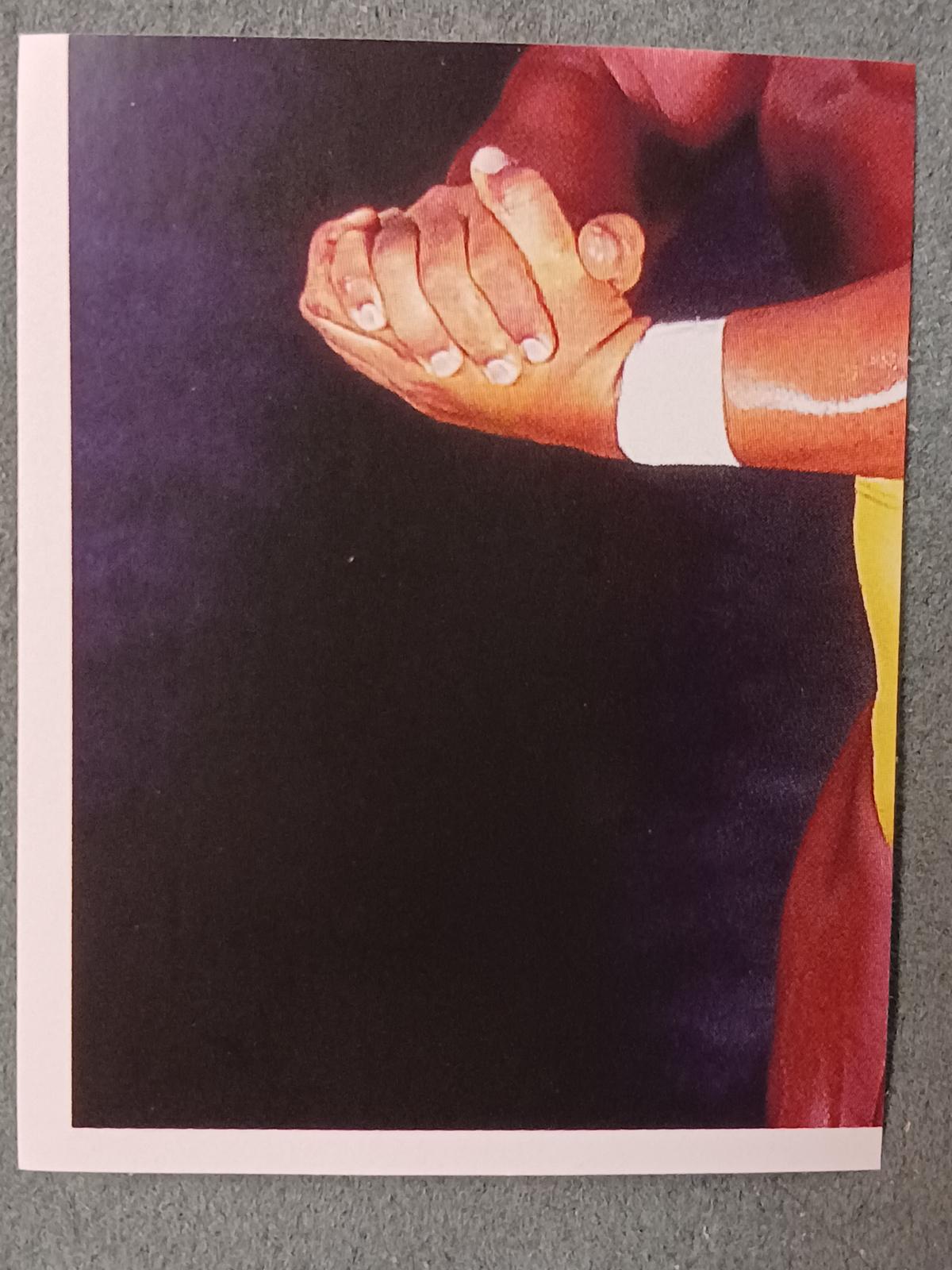 Hulk Hogan #8 Wrestling Cards 1992 Merlin WWF Stickers
