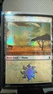 Plains