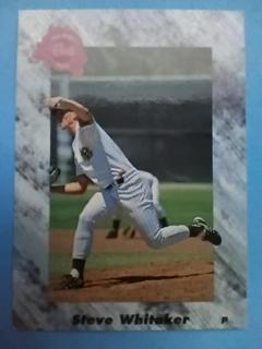 Steve Whitacker