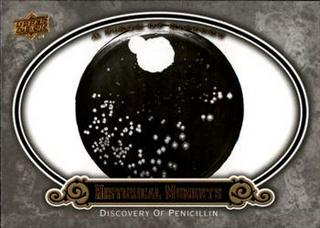 Discovery Of Penicilin