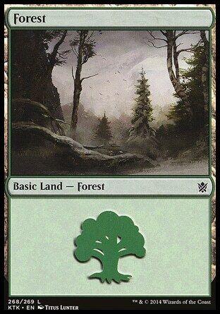 Forest #268 Magic Khans of Tarkir