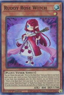 Ruddy Rose Witch LIOV-EN010