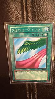 Follow Wind DL2-067