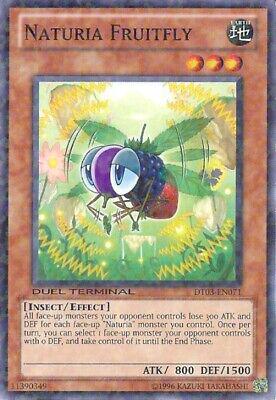 Naturia Fruitfly DT03-EN071 YuGiOh Duel Terminal 3