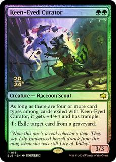 Keen-Eyed Curator