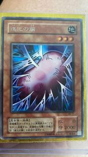 Cocoon of Evolution RB-11