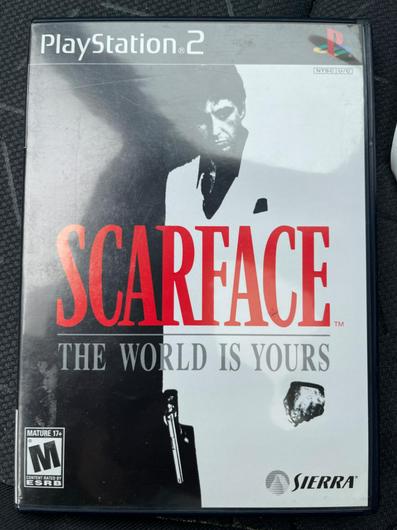 Scarface the World is Yours photo