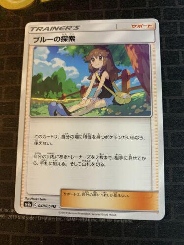 Green's Exploration #48 Pokemon Japanese Full Metal Wall