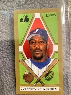 Vladimir Guerrero Sr.