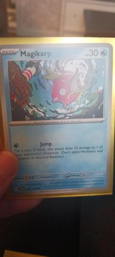 Magikarp #44 photo
