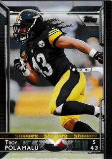 Troy Polamalu