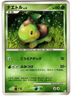 Turtwig