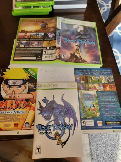 Blue Dragon photo