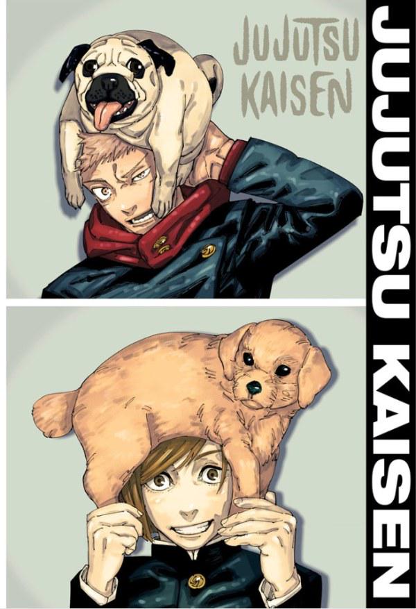 Jujutsu Kaisen #267 (2024) Comic Books Jujutsu Kaisen
