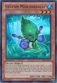 Sylvan Marshalleaf LVAL-EN017