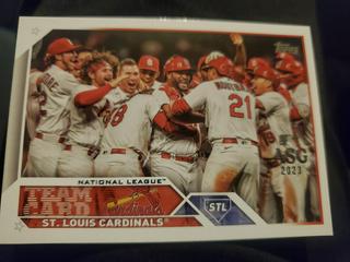 St. Louis Cardinals