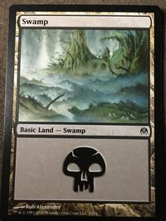 Swamp