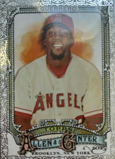 Vladimir Guerrero