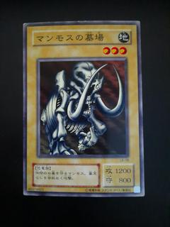 Mammoth Graveyard LB-08