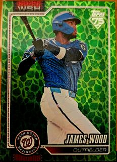 James Wood