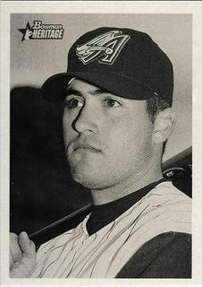 Tim Salmon