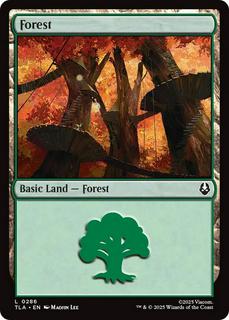 Forest