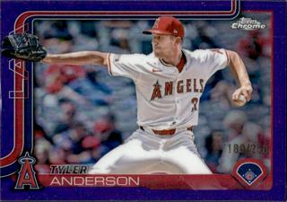 Tyler Anderson