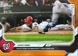 James Wood