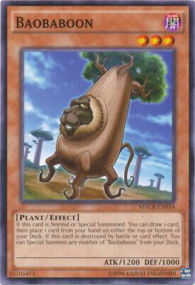Baobaboon MACR-EN034 YuGiOh Maximum Crisis
