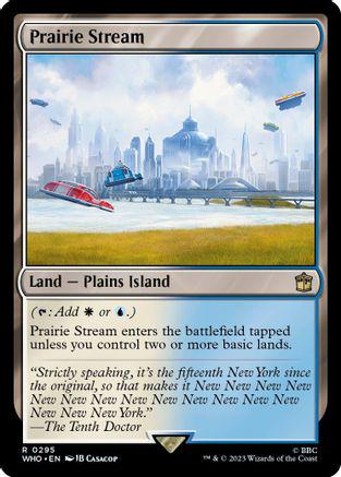 Prairie Stream #295 Magic Doctor Who