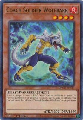 Coach Soldier Wolfbark MAGO-EN120 YuGiOh Maximum Gold