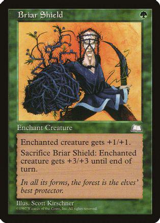 Briar Shield Magic Weatherlight